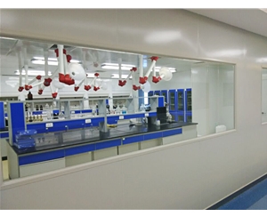 天津利民調(diào)料有限公司